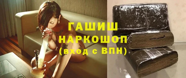 сатива Новозыбков
