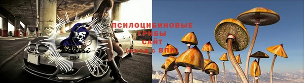 mdpv Нягань