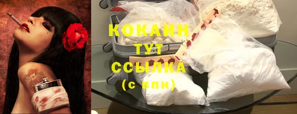 мяу мяу кристалл Няндома