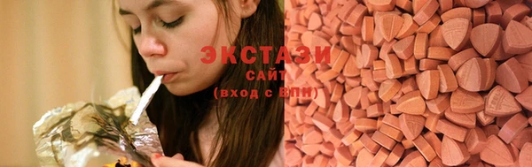 сатива Новозыбков
