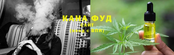 сатива Новозыбков