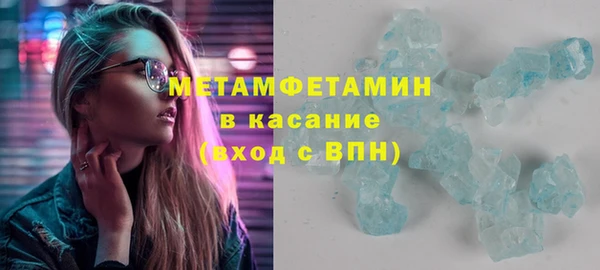 сатива Новозыбков