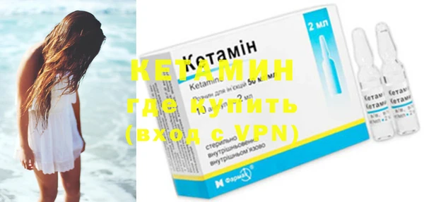 сатива Новозыбков
