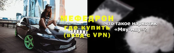 сатива Новозыбков