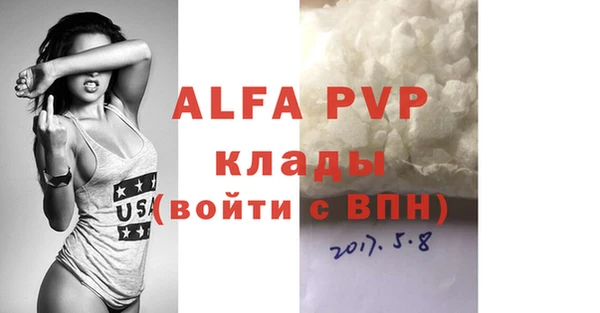 сатива Новозыбков