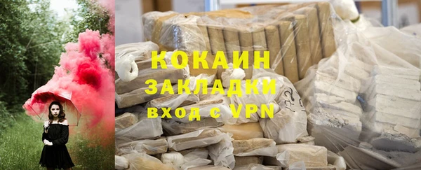 сатива Новозыбков