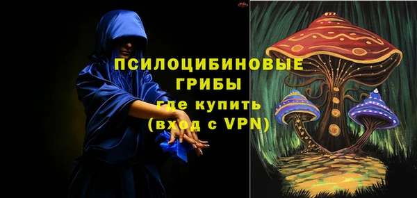 стафф Новокубанск