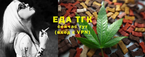 прущие грибы Елабуга