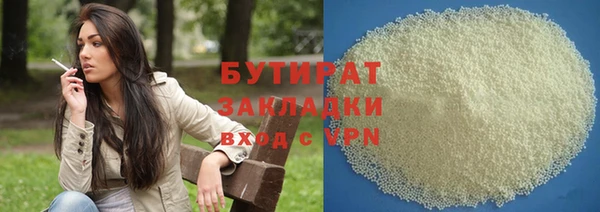 сатива Новозыбков