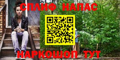 индика Бийск