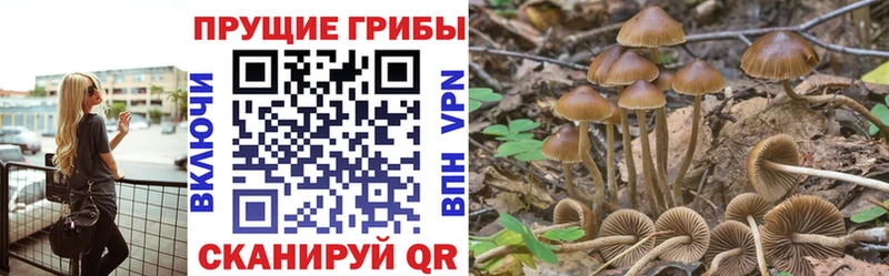 Псилоцибиновые грибы MAGIC MUSHROOMS  mega зеркало  Богородицк 