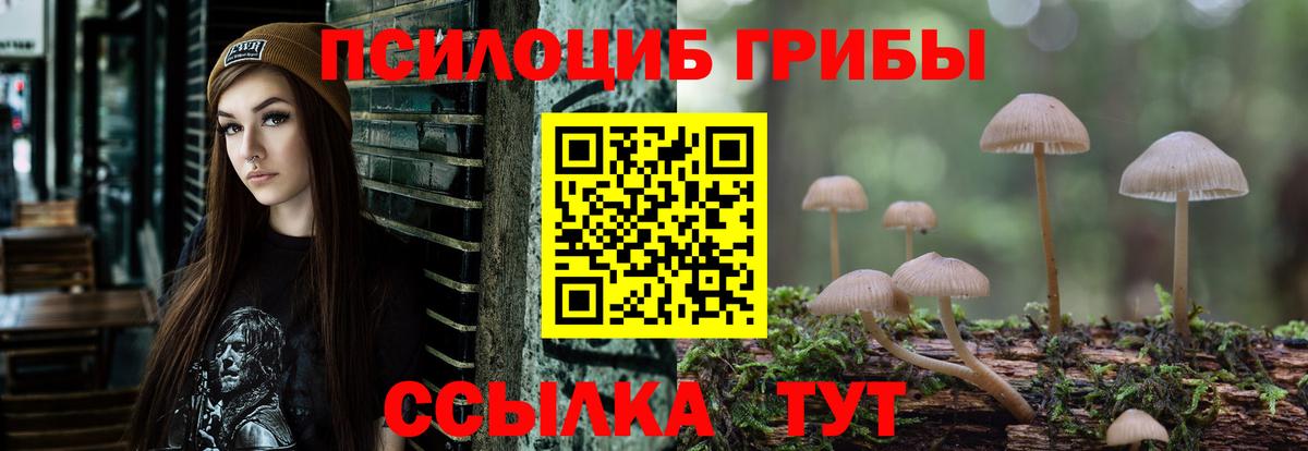 Псилоцибиновые грибы мухоморы  Вход с VPN  Псилоцибиновые грибы Magic Shrooms  Богородицк 